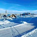 Hébergement de vacances Large And Cozy Family With Sauna Trysil