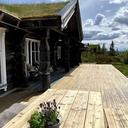Large And Cozy Family Holiday home Trysil